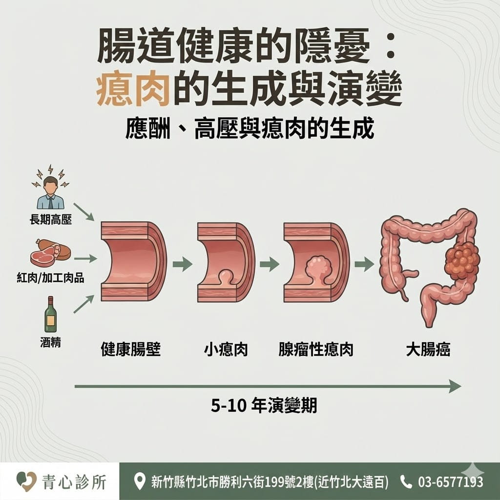 腸道瘜肉生成