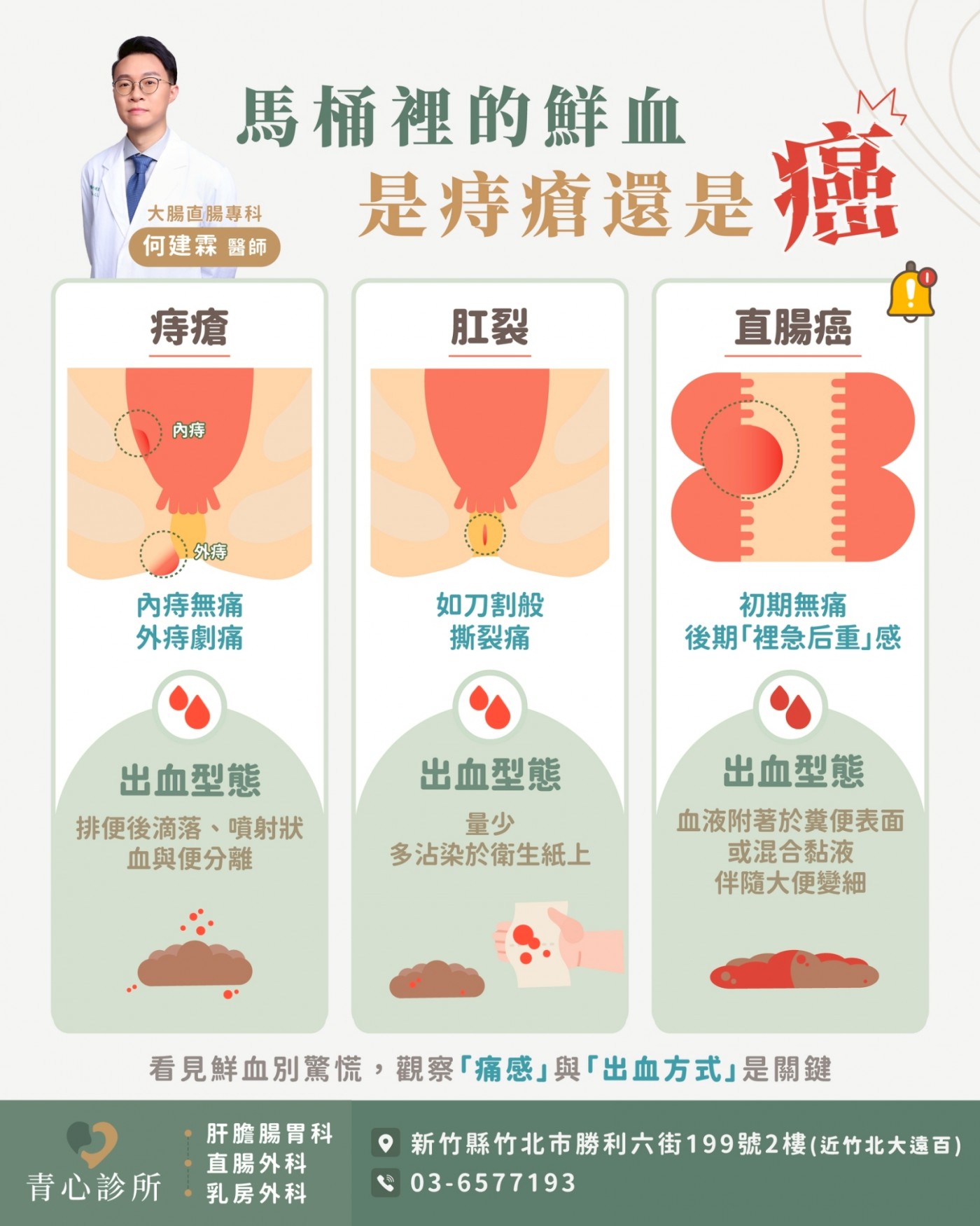 血便症狀解析圖解：痔瘡、肛裂與直腸癌